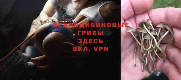 mix Арсеньев