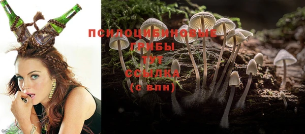 мдпв Армянск