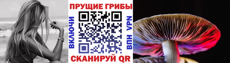 Псилоцибиновые грибы Cubensis  гидра   Шацк 